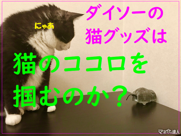 ダイソーの「100円猫グッズ」は猫のココロを掴むのか？　我が家の猫たちと共に検証してみました。