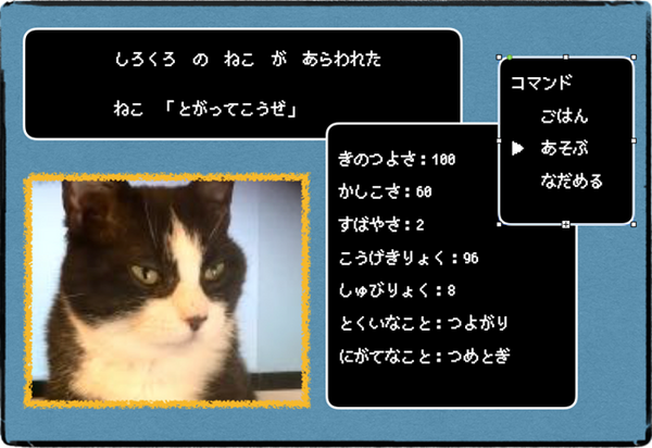 ダイソーの「100円猫グッズ」は猫のココロを掴むのか？　我が家の猫たちと共に検証してみました。