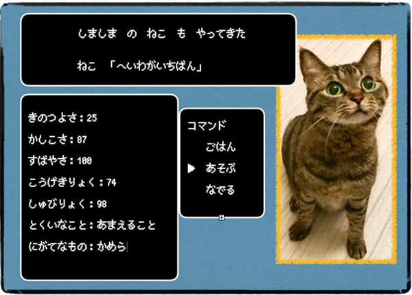 ダイソーの「100円猫グッズ」は猫のココロを掴むのか？　我が家の猫たちと共に検証してみました。