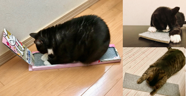 ダイソーの「100円猫グッズ」は猫のココロを掴むのか？　我が家の猫たちと共に検証してみました。