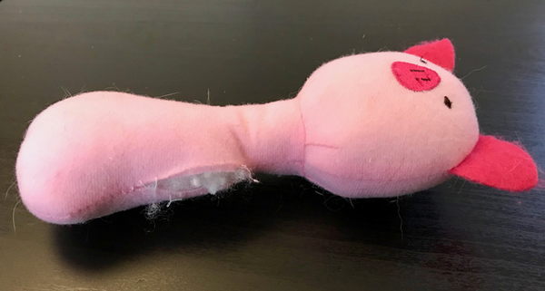 ダイソーの「100円猫グッズ」は猫のココロを掴むのか？　我が家の猫たちと共に検証してみました。