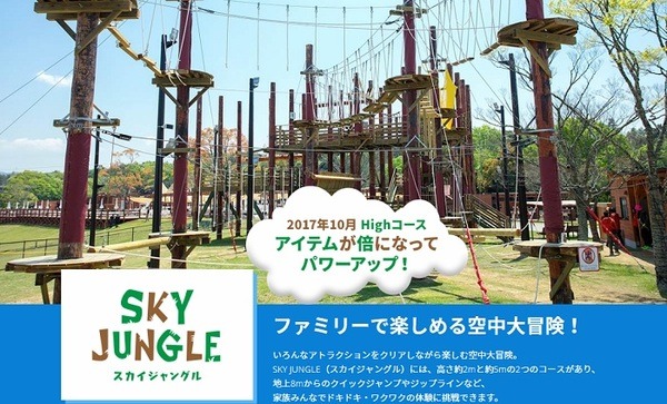 スカイジャングル