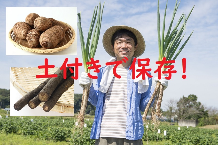 土付きで保存しましょう