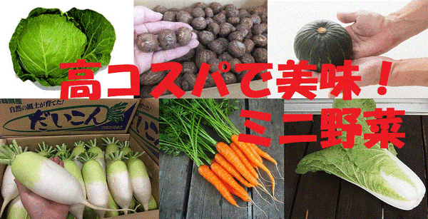 高コスパでおいしいミニ野菜