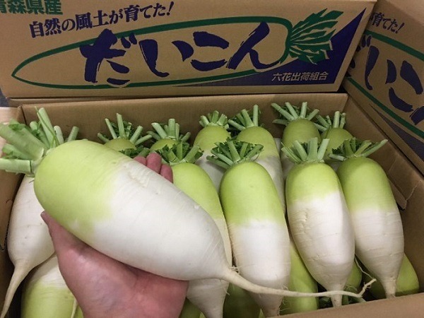 ミニ大根