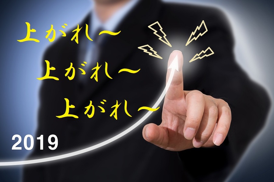 2019年の株価上昇を願う