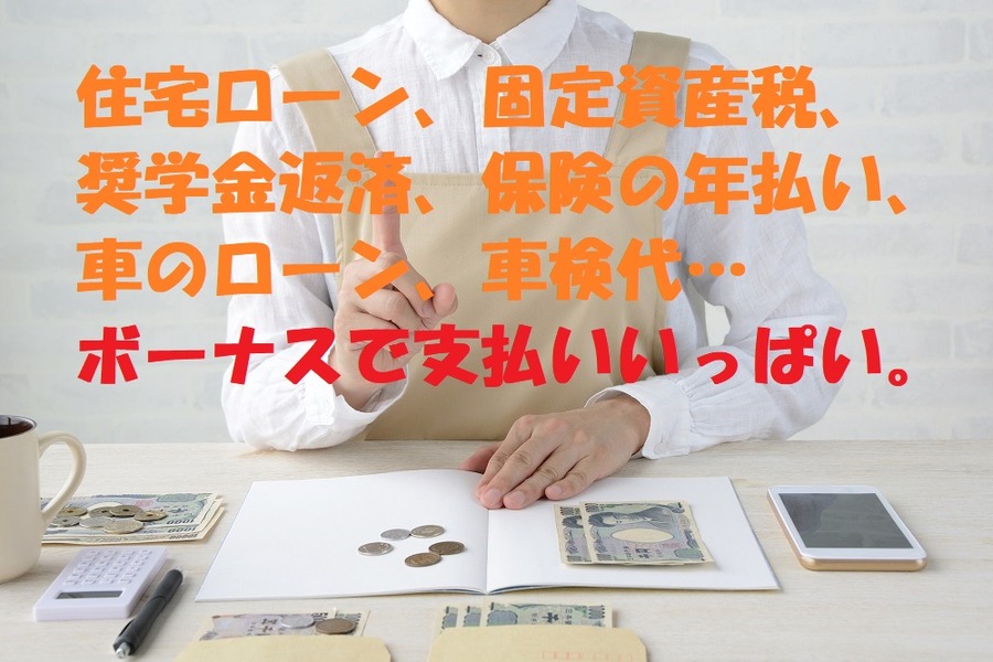 ボーナスの使い道は、各種支払い