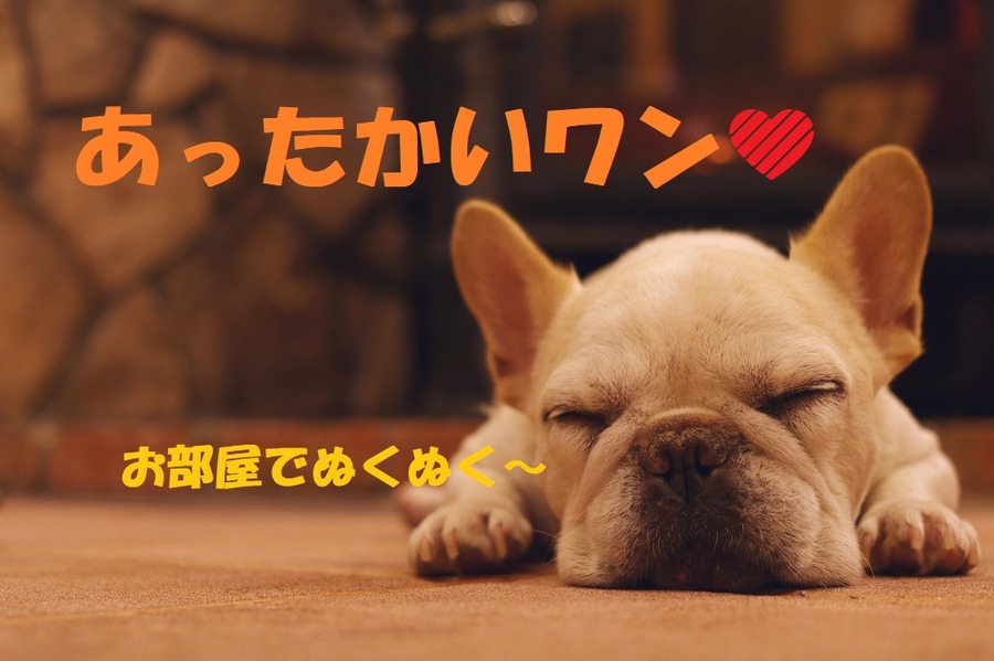 暖房費を抑え、部屋で暖かく過ごすためのコツ