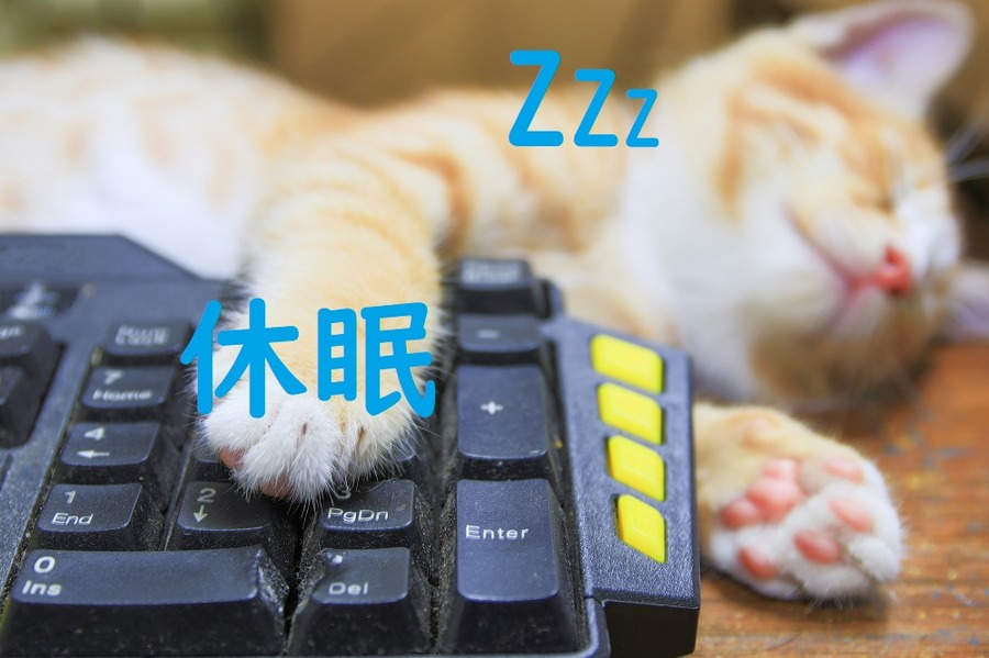 NISA口座の約4割は休眠状態