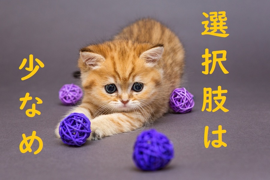 商品の選択肢は少ない方がいい