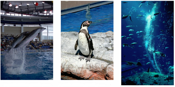 アクアワールド茨城大洗水族館