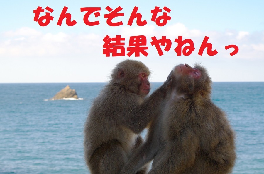 なんでそんな結果やねん