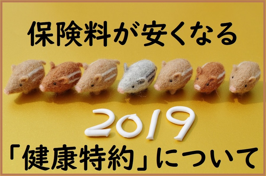 保険料が安くなる「健康特約」について