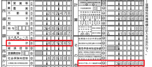 【確定申告のポイント】所得制限の壁は「合計所得金額」を正しく確認することがカギ