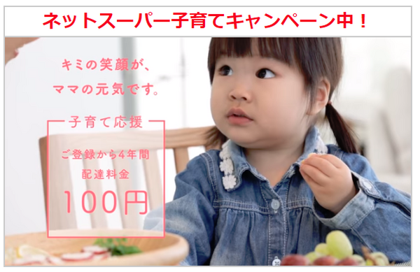 イトーヨーカドーのネットス―パー