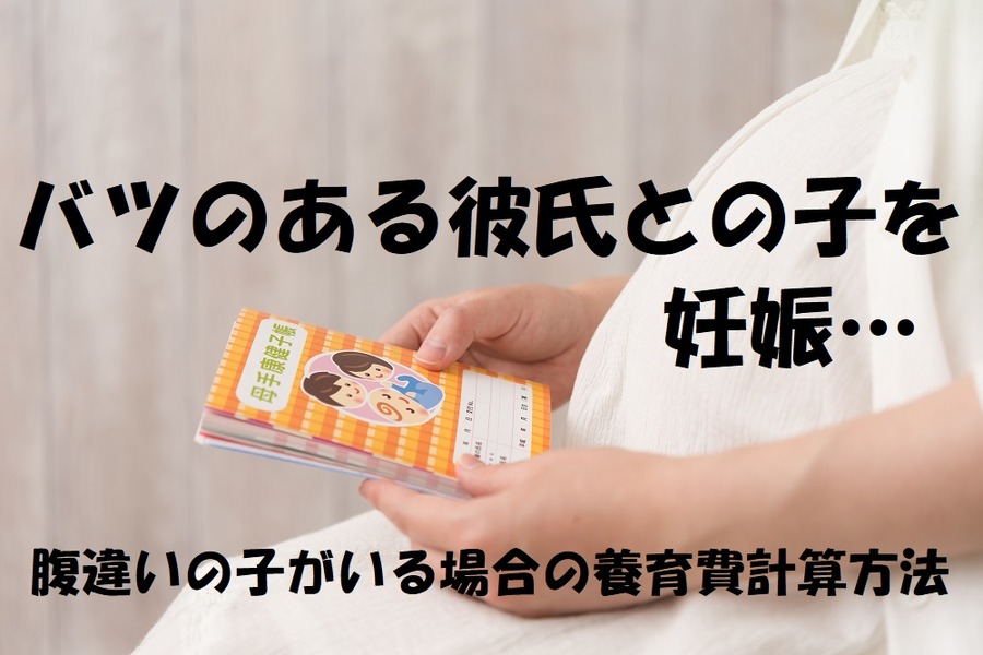 バツのある人との間にできた子への養育費はどうなる