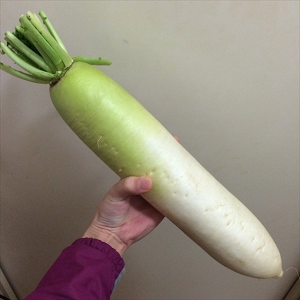 タイムイズマネー！　節約のために時間を無駄にしていませんか？