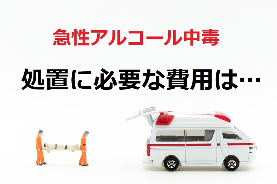 処置に必要な費用は