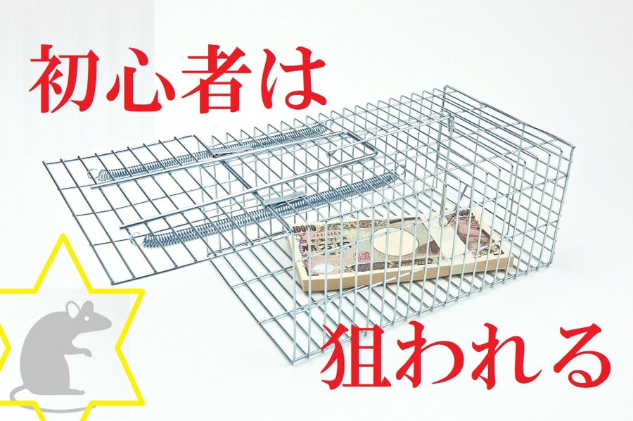 初心者は狙われる