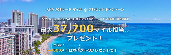 新生活でクレカデビューなら、新規入会キャンペーンを狙え！　オススメ4社のキャンペーン内容を一挙紹介します