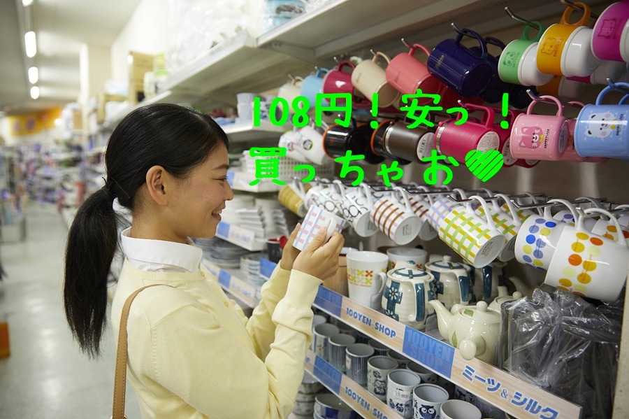 値段だけで決めてしまう