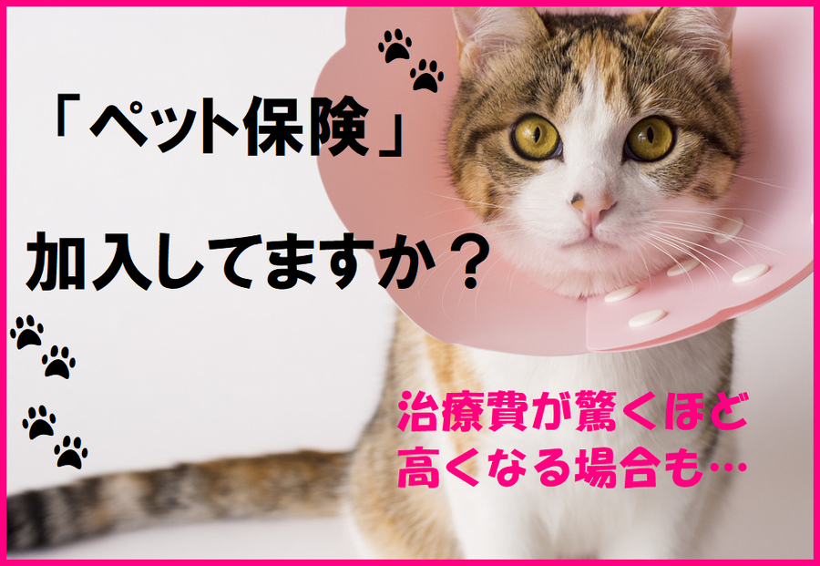 ペット保険