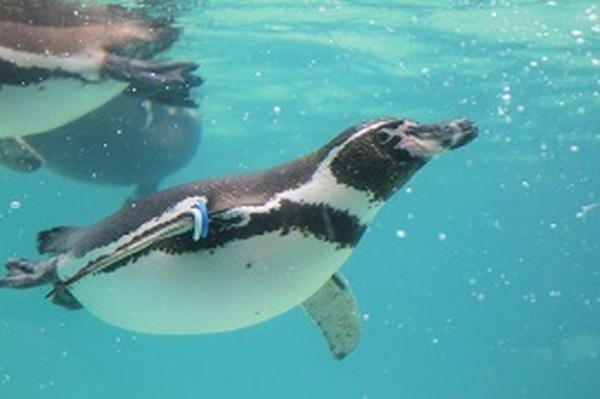 [東京版] GW、お金をかけずに子供と遊びたい人のための無料スポット