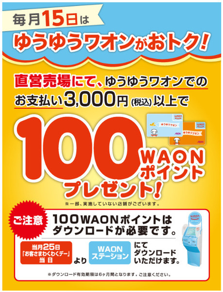 ゆうゆうワオン100 WAONポイントプレゼントという特典