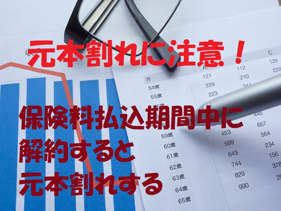 保険料払込期間中に解約すると元本割れする