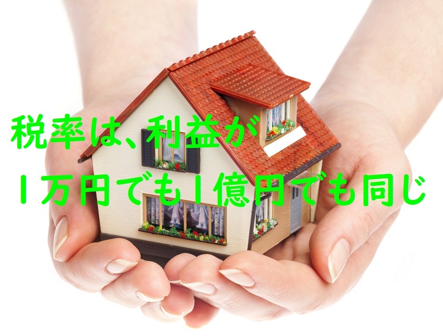 税率は利益がいくらでも同じ