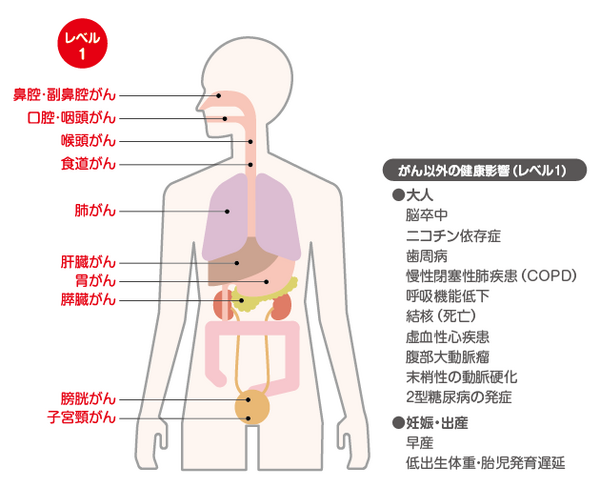 喫煙者本人がなりやすいレベル1の病気の一覧