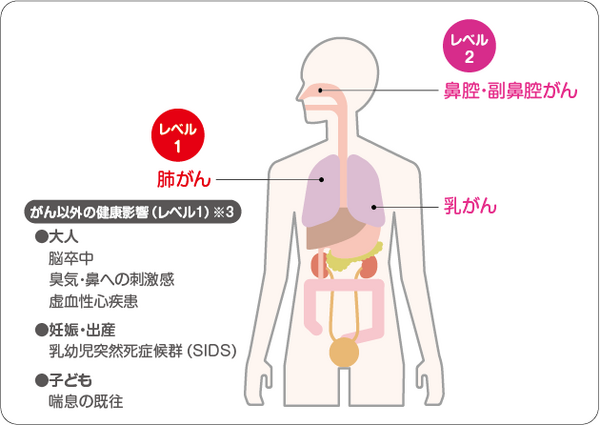 喫煙者の周りの人たちへの健康影響