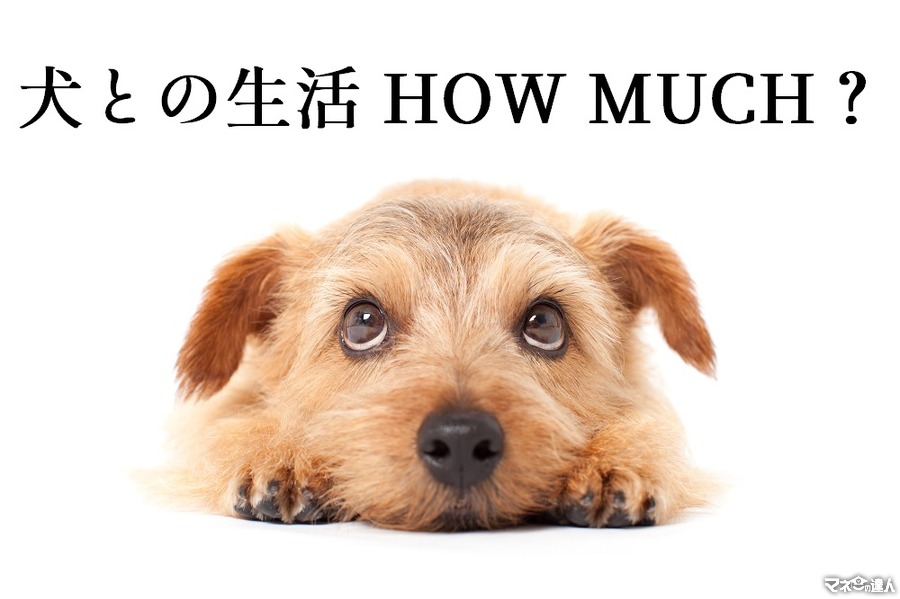 「捨て犬ポチとの20年」一生分の費用約300万円の内訳を公開