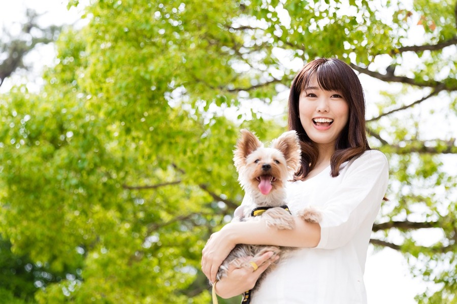 犬と女性