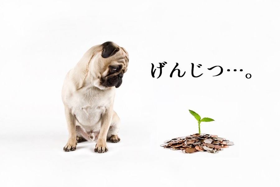 パグと小銭と双葉
