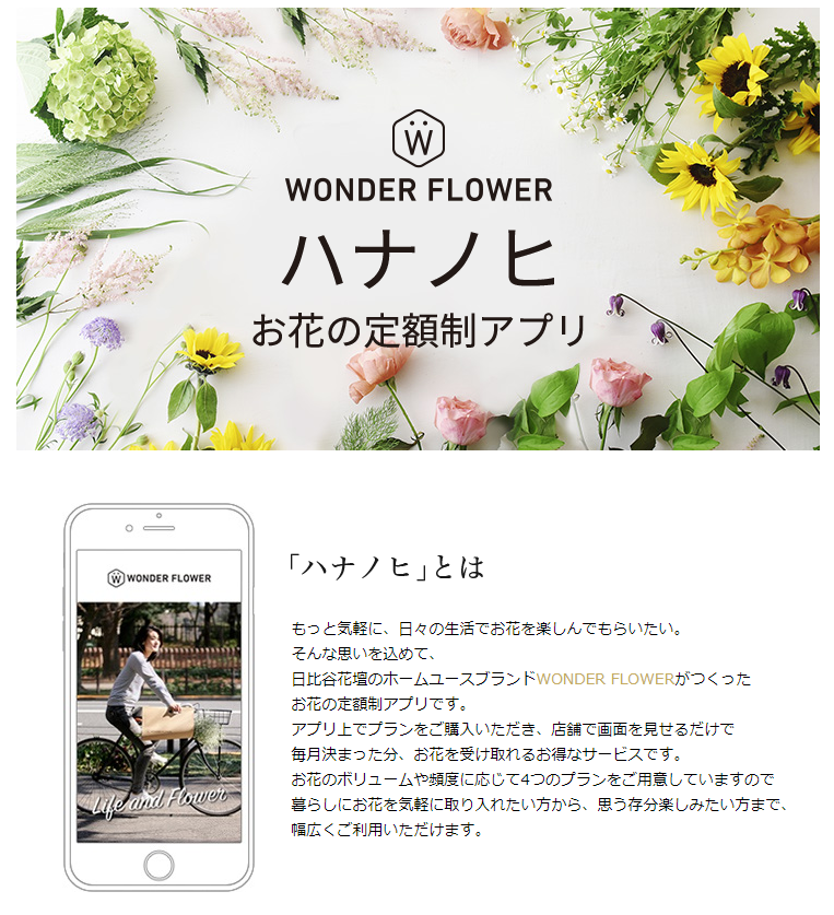 日比谷花壇のハナノヒ