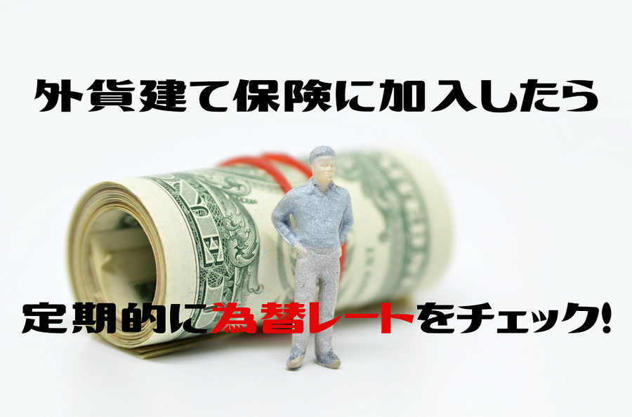 外貨建て保険に加入したら為替をチェック