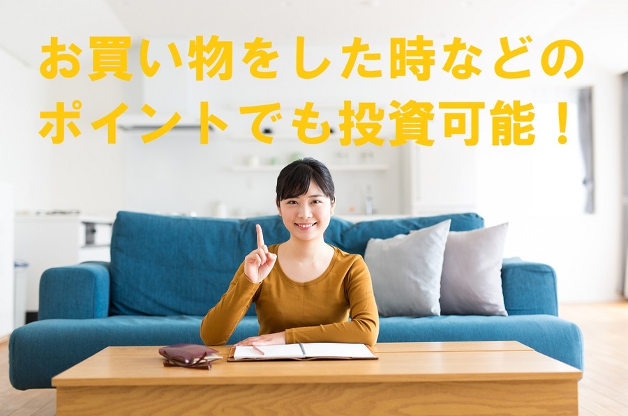 お買い物をした時などのポイント