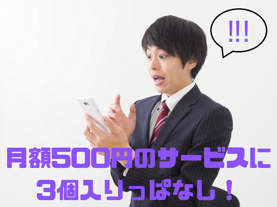 月額500円のサービスに 3個入りっぱなし！