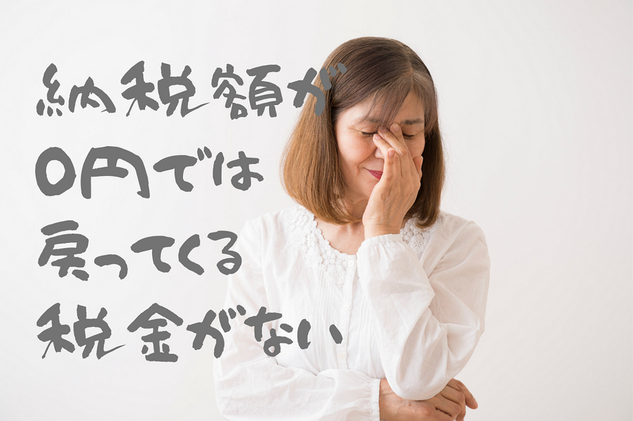 納税額が0円では戻ってくる税金がない