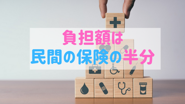 負担額は民間の保険の半分