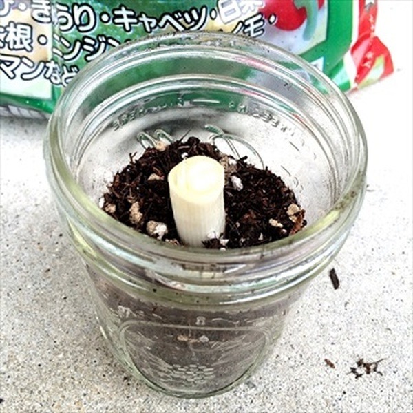 放置されたメイソンジャーの活用方法を探る！　サラダ以外の使い道8つ