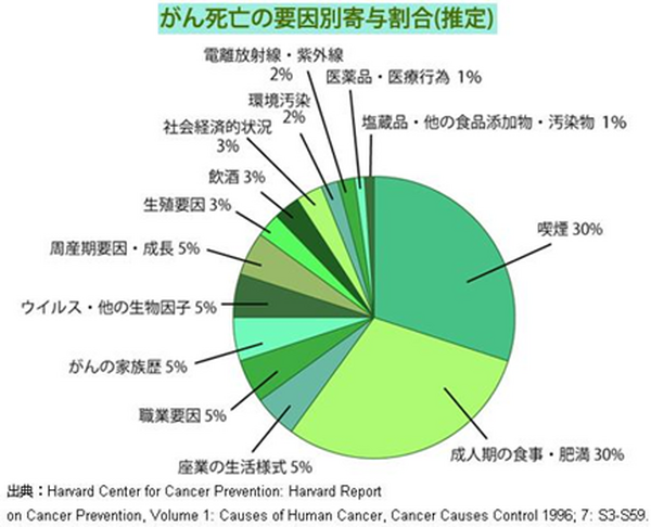 今井雅之氏のケースから「がんのリスクマネジメント」を考える（下：がんの対策・予防から保険までの考え方・犠牲になるのは家族も？）
