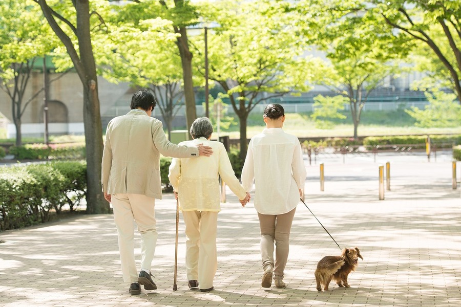 愛犬と散歩
