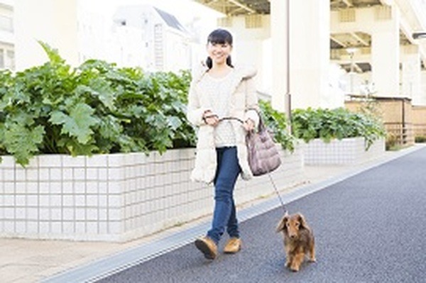 お得情報はネットだけじゃない　アナログ式で身近なお得情報を見つける方法