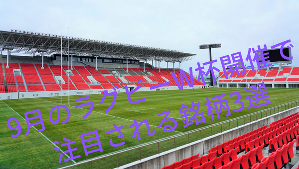 9月のラグビーW杯開催で 注目される銘柄3選