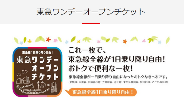 東急ワンデーオープンチケット