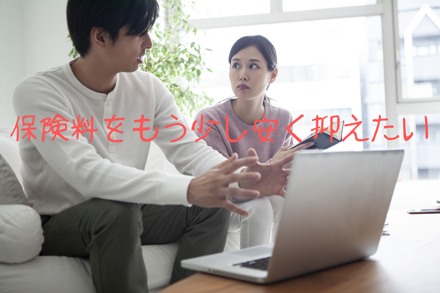 保険料をもう少し安く抑えたい