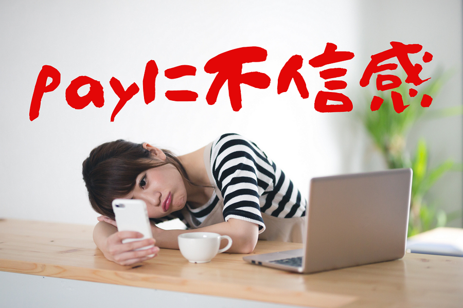 payに不信感