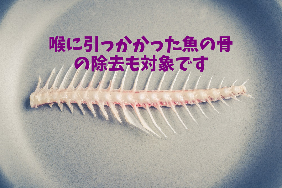 喉に引っかかった魚の骨 の除去も対象です
